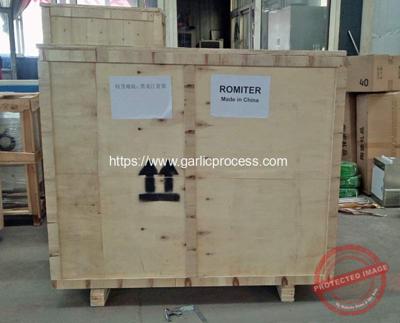 Russia-Garlic-Breaking-Machine-Delivery-Package